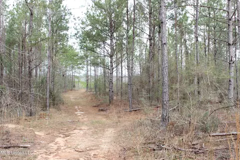 Old Stateline Rd, Tylertown, MS 39667 photo 14