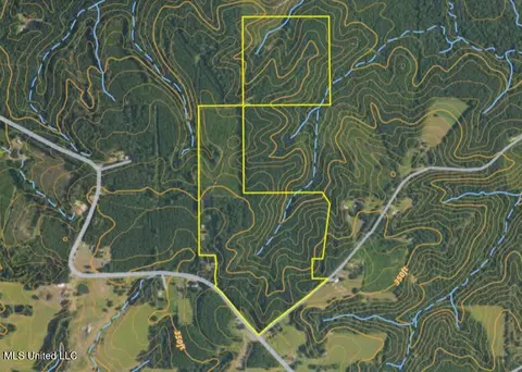 Old Stateline Rd, Tylertown, MS 39667 photo 38