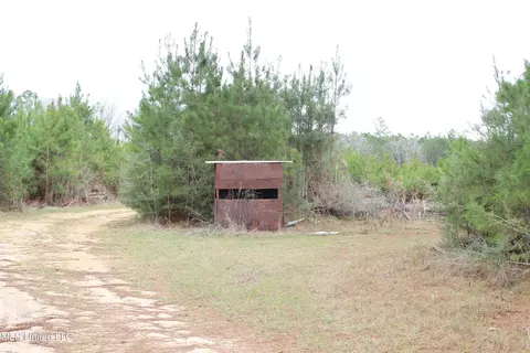 Old Stateline Rd, Tylertown, MS 39667 photo 34