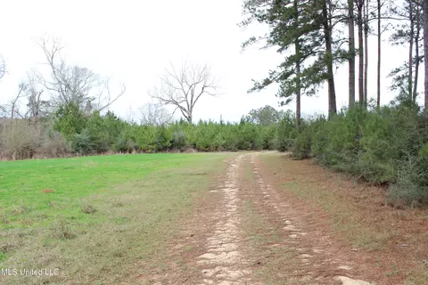 Old Stateline Rd, Tylertown, MS 39667 photo 32