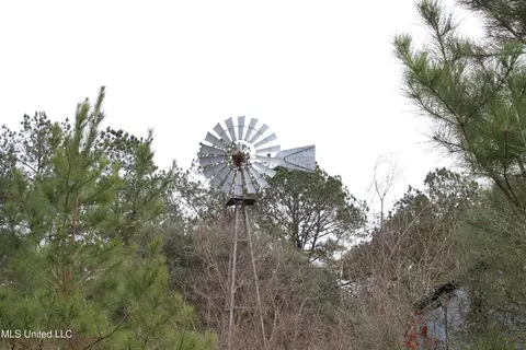 Old Stateline Rd, Tylertown, MS 39667 photo 23