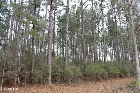 Old Stateline Rd, Tylertown, MS 39667 photo 26