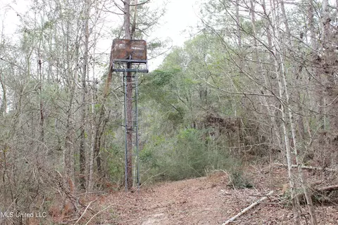 Old Stateline Rd, Tylertown, MS 39667 photo 5