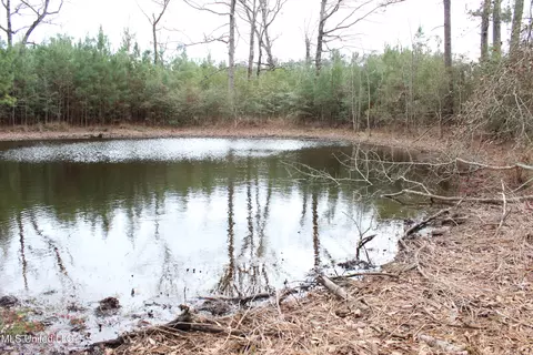Old Stateline Rd, Tylertown, MS 39667 photo 17
