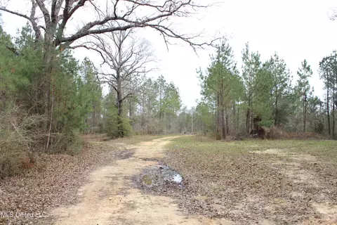 Old Stateline Rd, Tylertown, MS 39667 photo 3