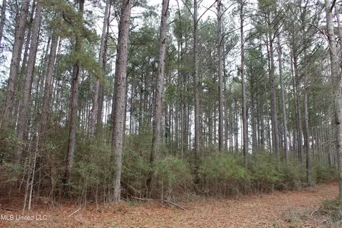 Old Stateline Rd, Tylertown, MS 39667 photo 36