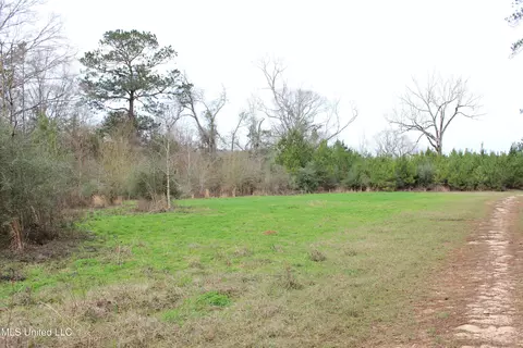 Old Stateline Rd, Tylertown, MS 39667 photo 31