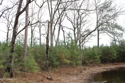 Old Stateline Rd, Tylertown, MS 39667 photo 19