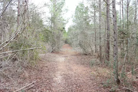 Old Stateline Rd, Tylertown, MS 39667 photo 6