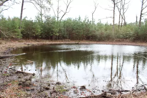 Old Stateline Rd, Tylertown, MS 39667 photo 18