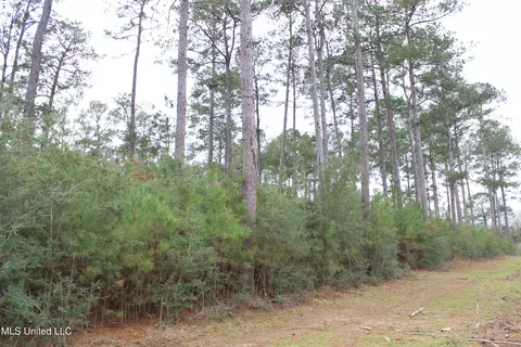 Old Stateline Rd, Tylertown, MS 39667 photo 22