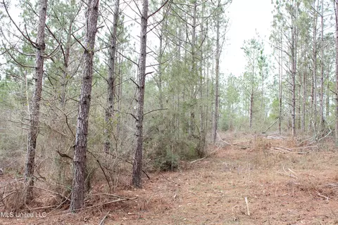 Old Stateline Rd, Tylertown, MS 39667 photo 10