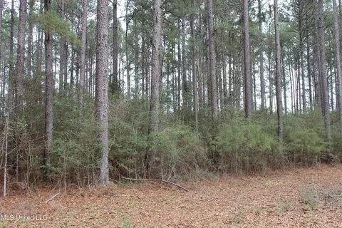 Old Stateline Rd, Tylertown, MS 39667 photo 25