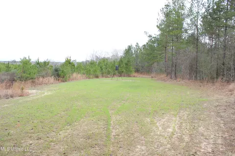 Old Stateline Rd, Tylertown, MS 39667 photo 16