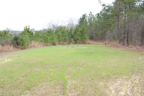 Old Stateline Rd, Tylertown, MS 39667 photo 15