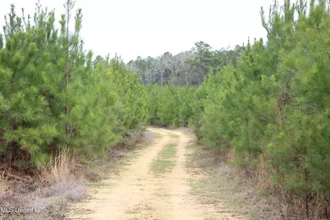 Old Stateline Rd, Tylertown, MS 39667 photo 2