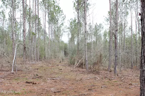 Old Stateline Rd, Tylertown, MS 39667 photo 11
