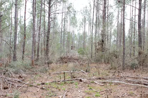 Old Stateline Rd, Tylertown, MS 39667 photo 13