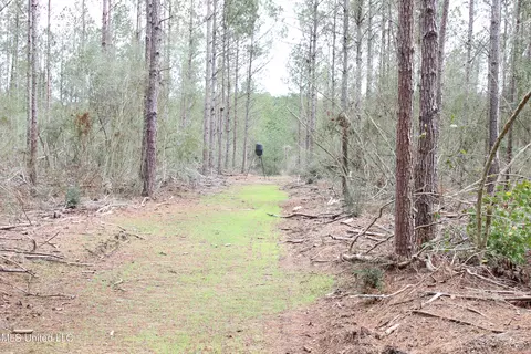 Old Stateline Rd, Tylertown, MS 39667 photo 21