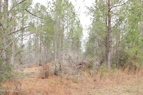 Old Stateline Rd, Tylertown, MS 39667 photo 9
