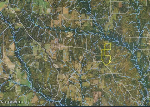 Old Stateline Rd, Tylertown, MS 39667 photo 37
