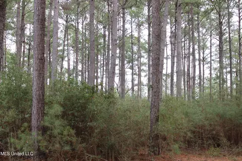 Old Stateline Rd, Tylertown, MS 39667 photo 29
