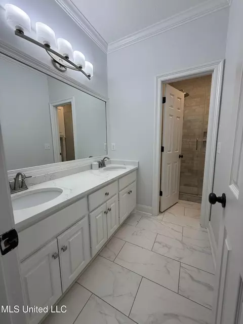 Bath - 415 Wimbledon Dr, Brandon, MS 39047 photo 1 of 2