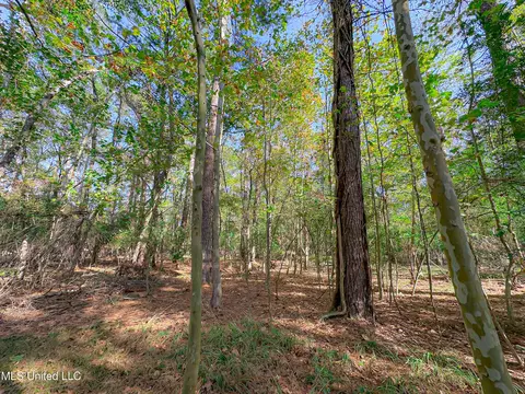 Deer Ridge Road, Madison, MS 39110 photo 6