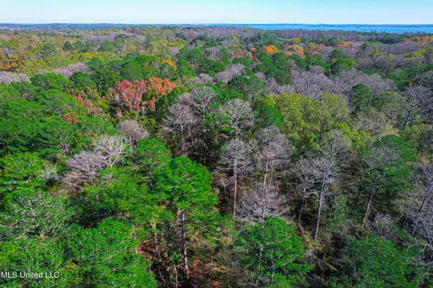 Deer Ridge Road, Madison, MS 39110 photo 4