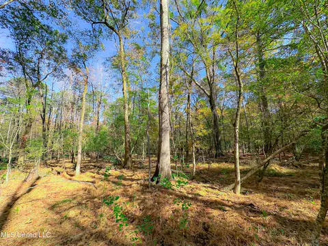 Deer Ridge Road, Madison, MS 39110 photo 10