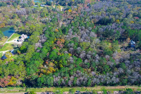 Deer Ridge Road, Madison, MS 39110