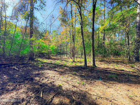 Deer Ridge Road, Madison, MS 39110 photo 11