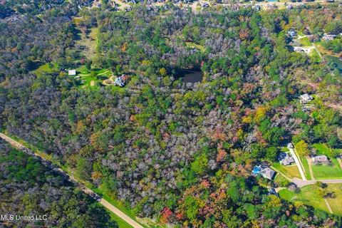 Deer Ridge Road, Madison, MS 39110 photo 3