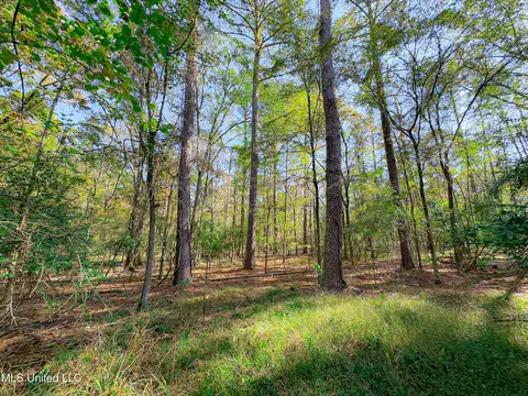 Deer Ridge Road, Madison, MS 39110 photo 8