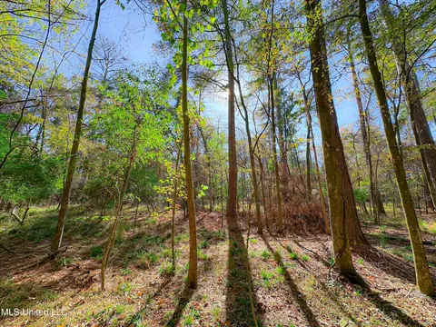 Deer Ridge Road, Madison, MS 39110 photo 7