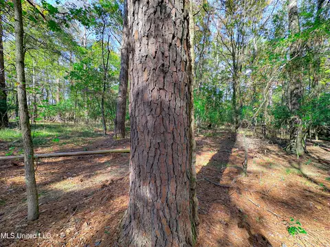Deer Ridge Road, Madison, MS 39110 photo 9