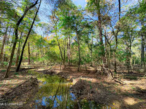 Deer Ridge Road, Madison, MS 39110 photo 12