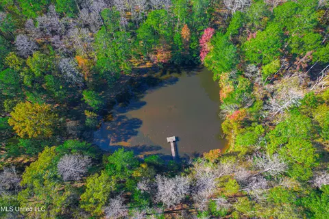 Deer Ridge Road, Madison, MS 39110