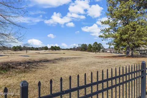 Exterior - 121 Burne Run, Madison, MS 39110 photo 11 of 12
