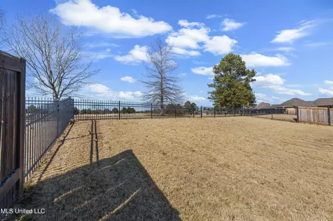 Exterior - 121 Burne Run, Madison, MS 39110 photo 10 of 12