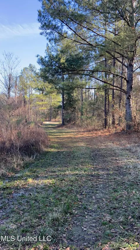 St Augustine Drive, Pearl, MS 39208 photo 9