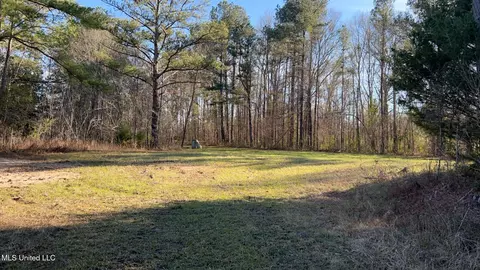 St Augustine Drive, Pearl, MS 39208 photo 13