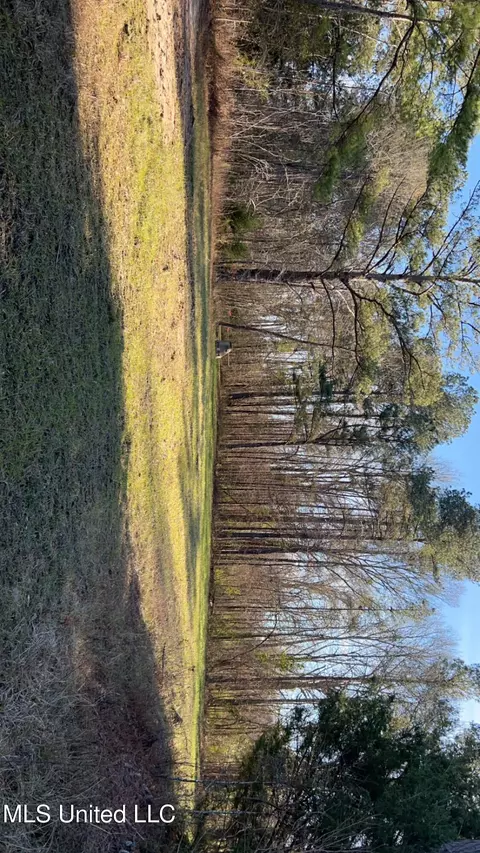 St Augustine Drive, Pearl, MS 39208