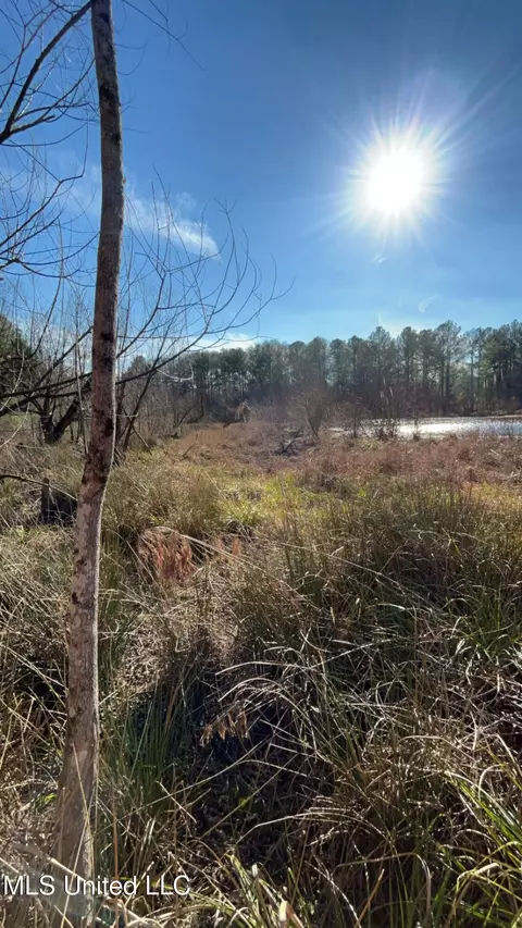 St Augustine Drive, Pearl, MS 39208 photo 5