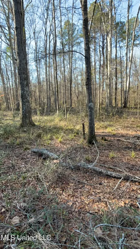 St Augustine Drive, Pearl, MS 39208 photo 12