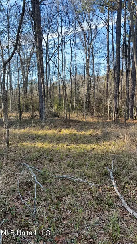 St Augustine Drive, Pearl, MS 39208 photo 32