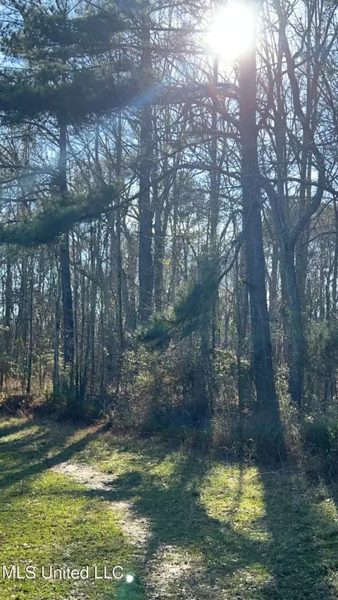 St Augustine Drive, Pearl, MS 39208 photo 8