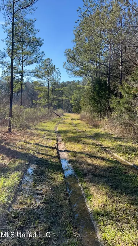 St Augustine Drive, Pearl, MS 39208 photo 6