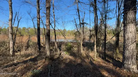 St Augustine Drive, Pearl, MS 39208 photo 15