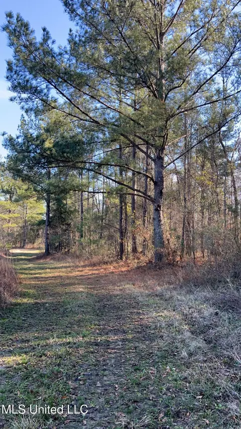 St Augustine Drive, Pearl, MS 39208 photo 10